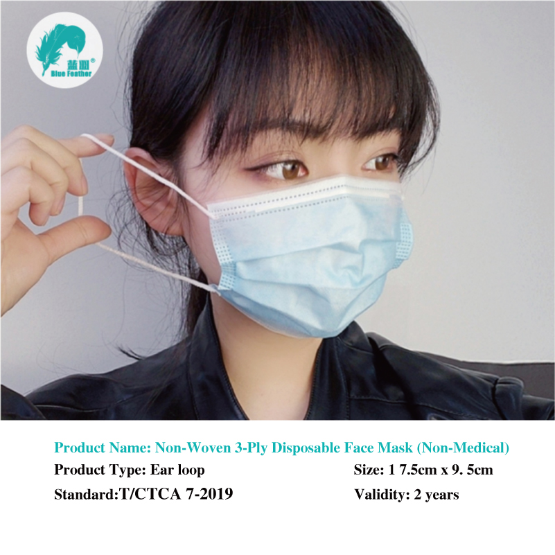 Non-Woven 3-Ply Disposable Protective Mask