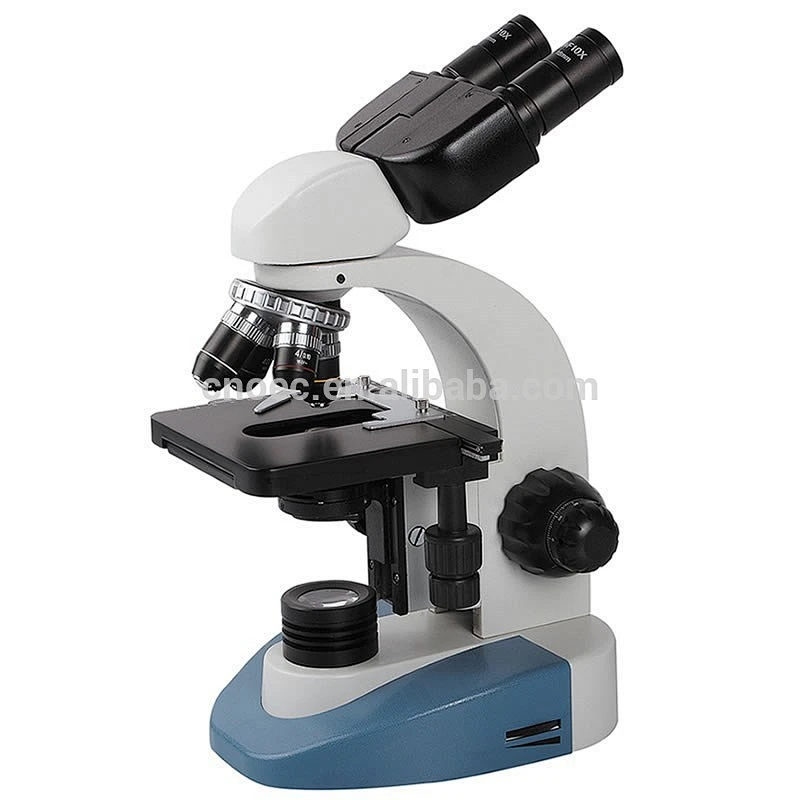 A11.1514 1600x Microscopio compuesto binocular / Microscopio de estudiante / Microscopio biológico