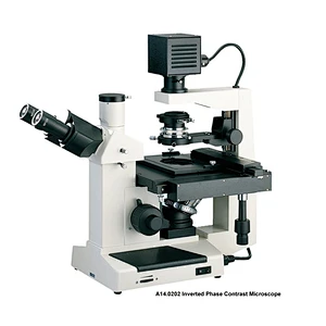 Microscope à contraste de phase biologique inversé