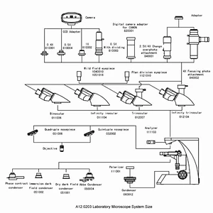 Laboratory Biological Microscope