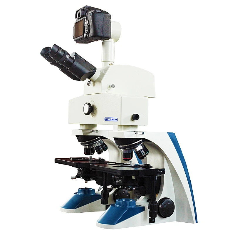 Microscopio de comparación biológica, 1600x