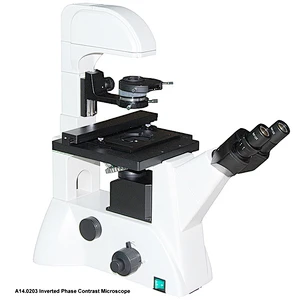 Microscopio de contraste de fase biológica invertida