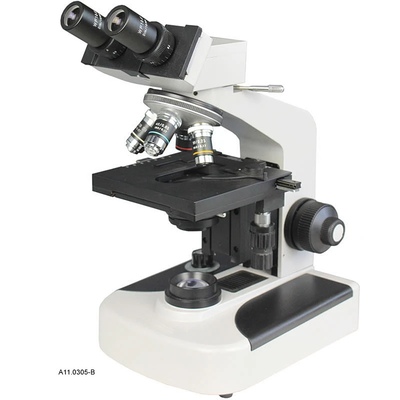Biologisches Mikroskop