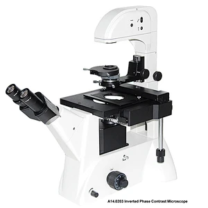 Microscopio de contraste de fase biológica invertida