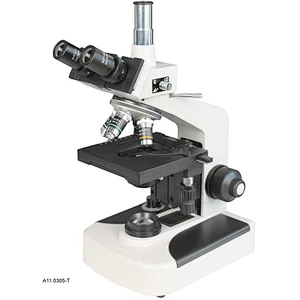 Biologisches Mikroskop