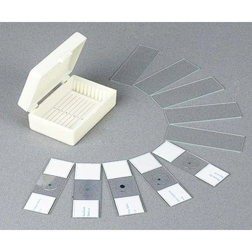 Prepared Slide, Set of 10