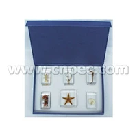 Bộ 6 Động Vật Biển