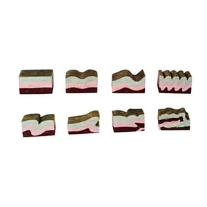 مجموعة نموذج أضعاف