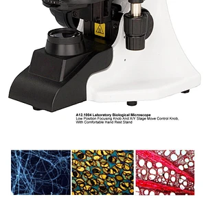 Labortory Biological Microscope