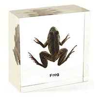Forg