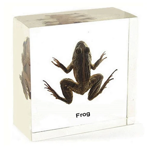 Forg