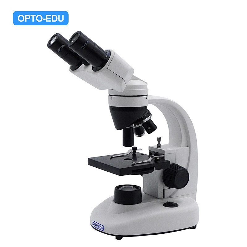 Student Biologisk Mikroskop, Kikkert