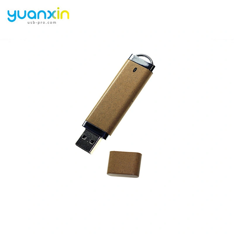 Cheap Bulk Container plastic case usb flash drive