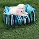 color strip canvas pet bed for cats and small dogs