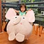 Stuffed animal bean bag cover  storage  kids toy bag