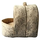 dog house