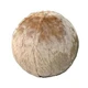 yoga ball with custom cover