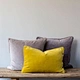velvet cover cushion for home or hotel