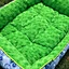 warm plush inner dog bed
