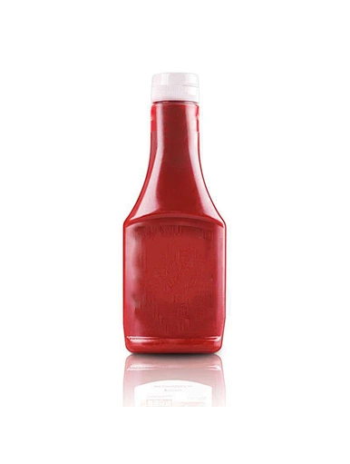  ketchup bio