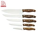 5Pcs Kitchen Knives - DAKOO
