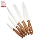 5Pcs Kitchen Knives - DAKOO