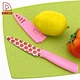 3.5"  Paring Knife - DAKOO