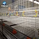 broiler chicken layers cage