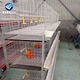 broiler chicken layers cage