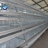 novatek layers cages