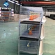 broiler chicken layers cage