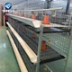Broiler Cage