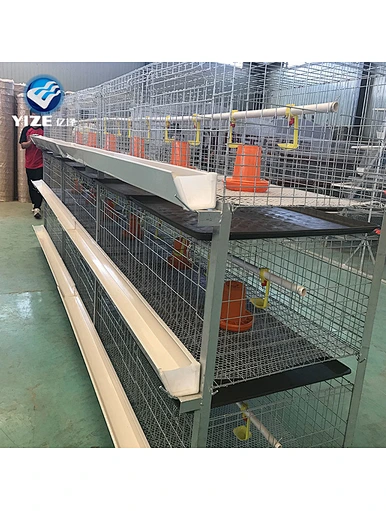 broiler chicken layers cage