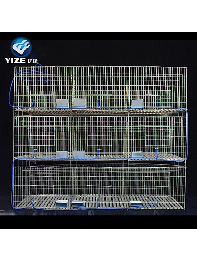 breeding rabbit