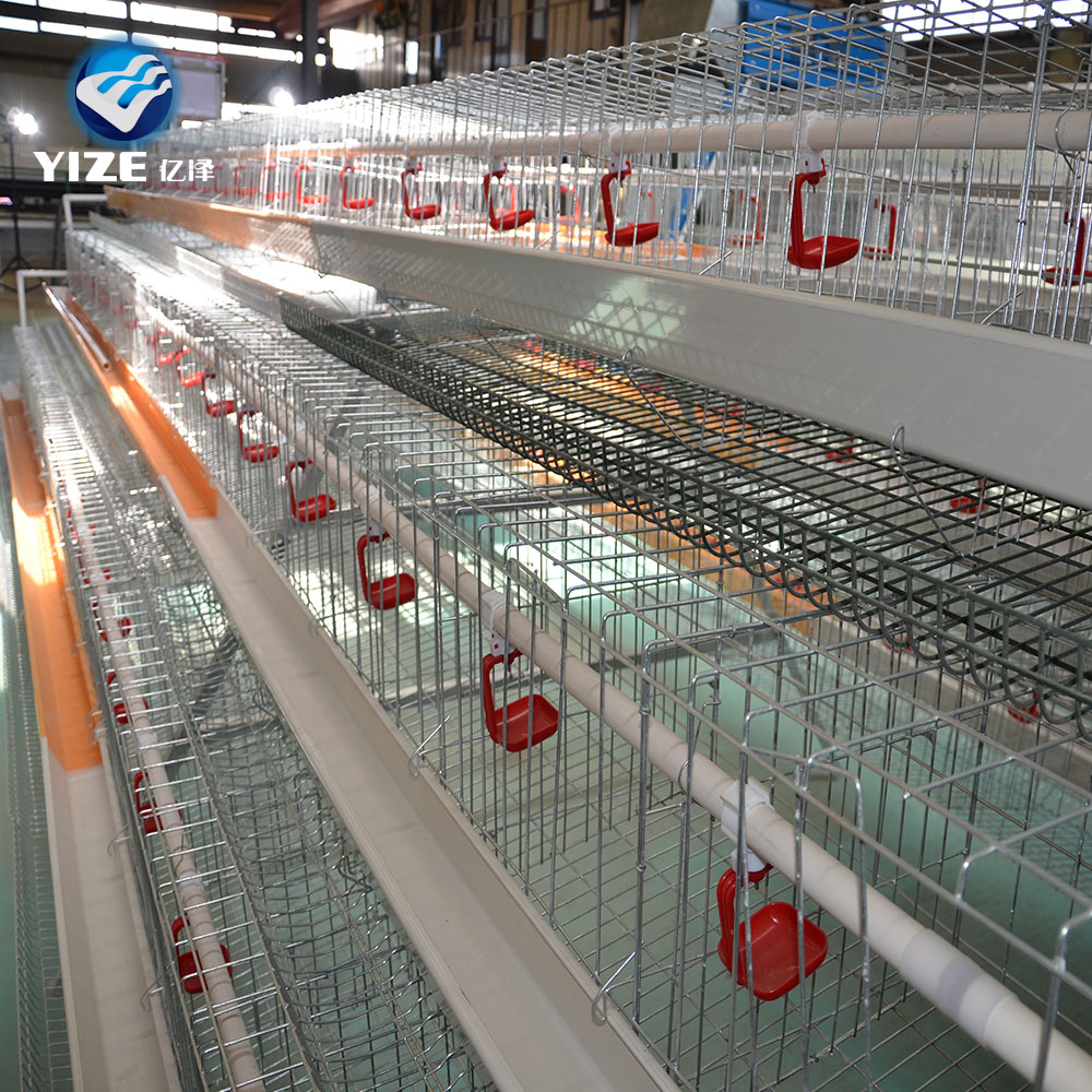 Chicken Cage