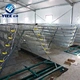 quail cage