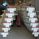 quail cage