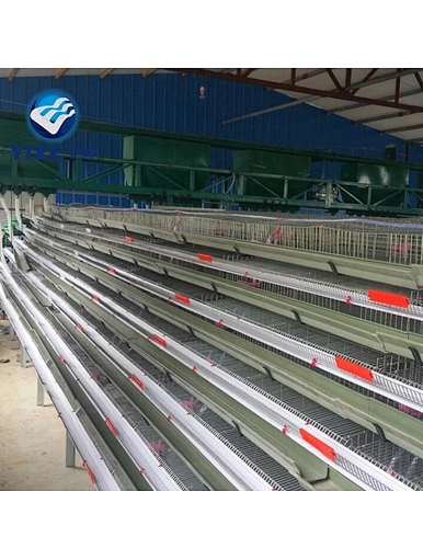 quail cage