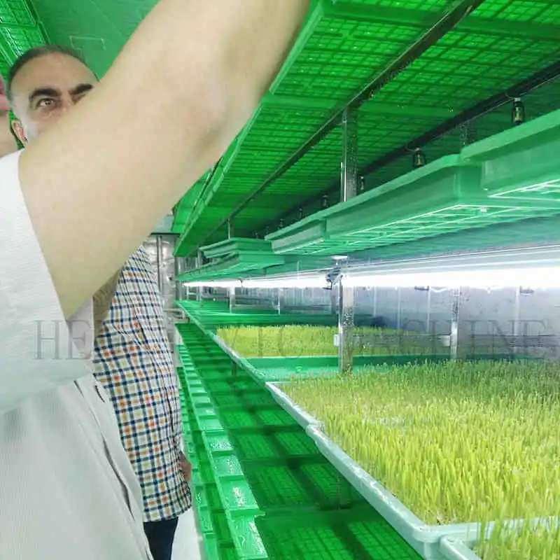 Autamatic animal fodder growing system hydroponic machine