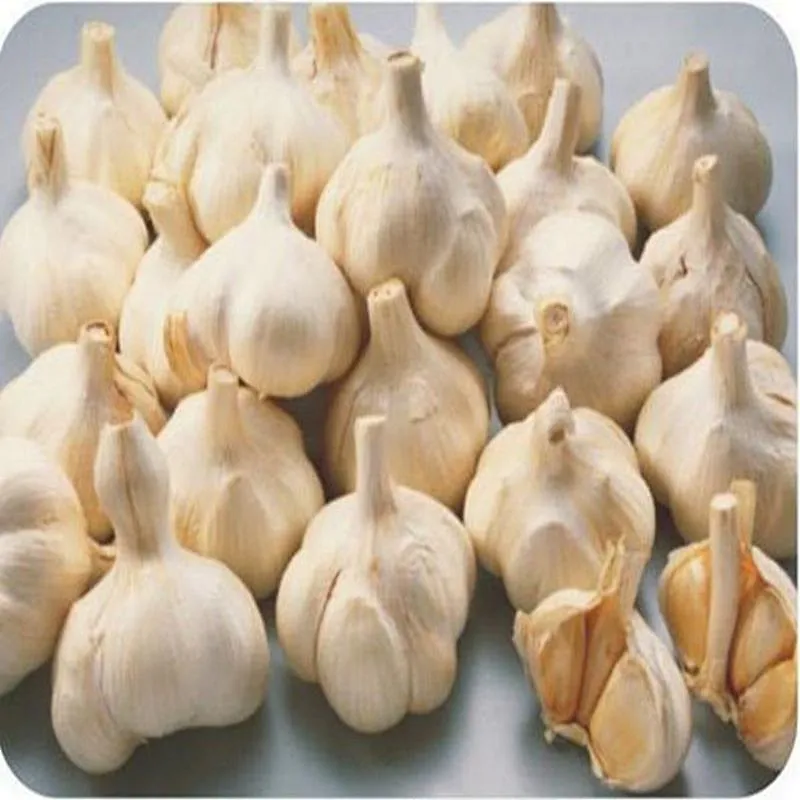 Newest design high quality Full-automatic garlic peeling machine