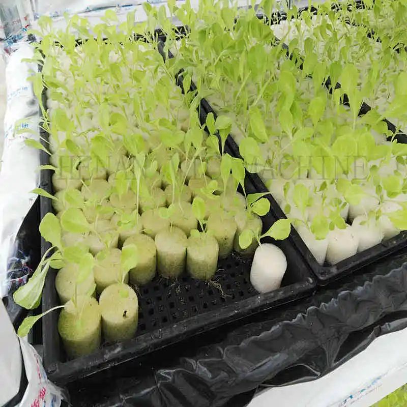 Autamatic animal fodder growing system hydroponic machine
