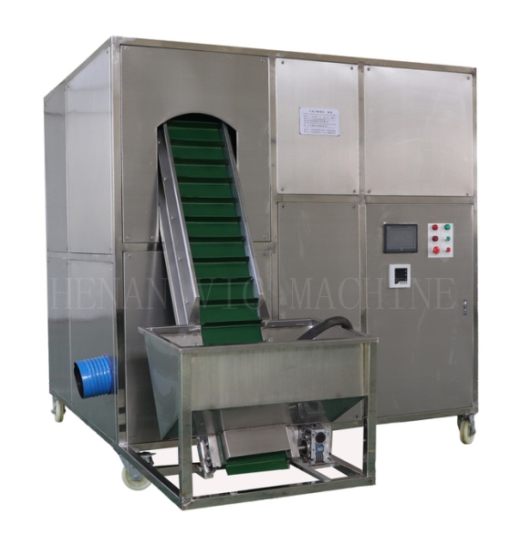 Newest design high quality Full-automatic garlic peeling machine