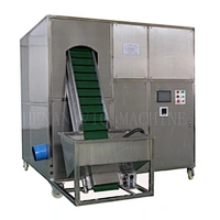 Newest design high quality Full-automatic garlic peeling machine