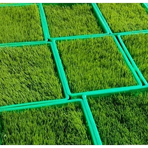 Autamatic animal fodder growing system hydroponic machine