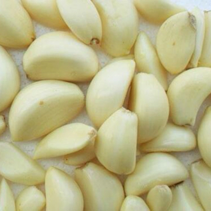 Newest design high quality Full-automatic garlic peeling machine