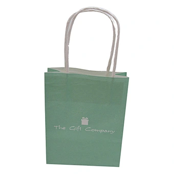 Custom logo printing paper bag with twist handle