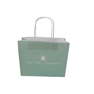 Custom logo printing paper bag with twist handle