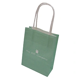 Custom logo printing paper bag with twist handle