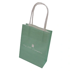 Custom logo printing paper bag with twist handle