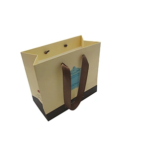 Dongguan customized new design guangzhou paper bags
